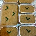 Cooksnap dari Mommy Clarissa untuk resep Wajik Beras Ketan