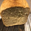 SzSzilvia Cooksnap-ja, amikor elkészítette a(z) Kenyérsütőben készült tuti kenyér recept receptet.