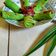 Cooksnap dari Pawoen_mungil untuk resep Dadar Gulung isi Unti Kelapa