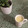 Cooksnap από Viki Geo στη συνταγή White hot chocolate (Ρόφημα λευκής σοκολάτας)