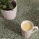 Cooksnap από Viki Geo στη συνταγή White hot chocolate (Ρόφημα λευκής σοκολάτας)