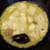 Cooksnap dari Suci Widya untuk resep Jangan terik tahu telur