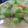 麗麗 的 金針菇燴絲瓜 cooksnap