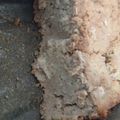 El cooksnap de Carolina Pérez cuando hizo Budín de avena y banana.