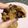 Cooksnap dari Siska untuk resep 84. Cookies Chewy Lumer Di Mulut