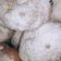 Cooksnap dari Annisa DC untuk resep Bomboloni (Eggless)