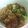Cooksnap dari Nurina Widyastutie untuk resep Batagor murmer