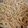 El cooksnap de Regina Hernandez cuando hizo Spaghetti con ajo y mantequilla.