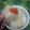 Cooksnap dari Riska Yunia Sari untuk resep Nasi Aci (Cireng Nasi)