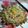 Swati Ganguly Chatterjee 's cooksnap of when they made ভেজ চাউমিন (Veg chowmein recipe in Bengali).