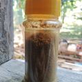 Cooksnap dari Hidayatul Munawaroh untuk resep Garam masala