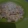 Cooksnap dari lily herly untuk resep Macaroni carbonara