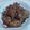 Cooksnap dari Selly Monshi untuk resep Rendang daging tradisional