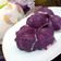 Cooksnap dari Nicky Noer Hakiki untuk resep Talam Ubi Ungu #pekaninspirasi
