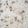 Haleema babaye's cooksnap of when they made Rice an beens(garau garau).