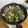 如芸 的 九層塔炒蛤蜊 cooksnap