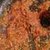 Cooksnap dari Hernawanti untuk resep Sambal terasi khas Kotaagung LAMPUNG