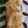 Cooksnap από Ismini στη συνταγή Μελιτζάνες παπουτσάκια 🍆