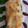 Cooksnap από Ismini στη συνταγή Μελιτζάνες παπουτσάκια 🍆