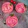 Cooksnap dari Tatta Manyund untuk resep Rose Apple Pie