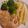 Cooksnap dari sittaalia untuk resep Grilled Chicken Breast Teflon Simple