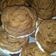 Cooksnap dari yossi agnesia untuk resep Bolkus mawar aren spekuk