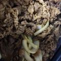 Cooksnap dari Arlina untuk resep Beef Teriyaki ala2