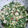 El cooksnap de manejsa cuando hizo Ceviche de Jibia fresca.