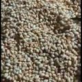Cooksnap dari Mom Bi untuk resep Kacang kupas kriuk