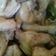 Cooksnap dari Mey's Cila untuk resep Ayam pop minang