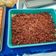Cooksnap dari Dwintari Ai Ke untuk resep Nasi Pecel Sambal Tumpang Khas Solo