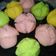 Cooksnap dari titikakatika untuk resep Kue Mangkok Tape