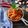 Cooksnap dari Nia untuk resep Ayam kampung bumbu kretep (khas madura)