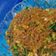 Cooksnap dari Dewi Alfatih untuk resep Bihun goreng special