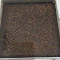 Cooksnap dari Seanna R Suganda untuk resep Fudgy Brownies Tepung Beras (Gluten Free)