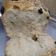 Cooksnap dari Clara's Kitchen untuk resep RAISIN BREAD (dg otang&no mixer)