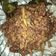 Cooksnap dari Nina Fatmawati untuk resep Orek tempe kering