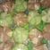 Cooksnap dari Andhi Noer untuk resep Bolu Kukus Santan Mekar
