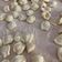 il ClauPxx👩🏼‍🍳⚜️ quando ha preparato Orecchiette e cavatelli fatti in casa - tutorial
