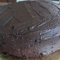 El cooksnap de Andrea Rodriguez cuando hizo Torta de chocolate "Matilda".