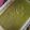 El cooksnap de Isabel Pardo cuando hizo Sopa crema de judías verdes para congelar.