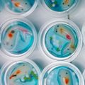 Cooksnap dari Nyanyak untuk resep Puding ikan koi