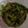 Michller 的 【家常菜】香菇炒青江菜(10分鐘上菜) cooksnap
