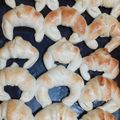 El cooksnap de Florencia Pili cuando hizo Medialunas y Sacramentos con levadura.