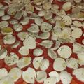 Cooksnap από Κουζινογατος στη συνταγή Ζύμη για πίτσα με γιαούρτι