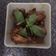 Cooksnap dari Ery untuk resep Sayap Ayam Kecap