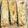 NEHAL SULE's cooksnap of when they made Vegetable Wraps.