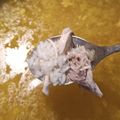 Cooksnap από ΙΩΑΝΝΗΣ στη συνταγή Εύκολη και γρήγορη κοτόσουπα