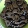 Cooksnap dari Imunk Icha untuk resep Kue Semprit Coklat Enak