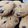El cooksnap de Silvina Galarza cuando hizo Cookies estilo pepitos sin gluten. Un Hit!.